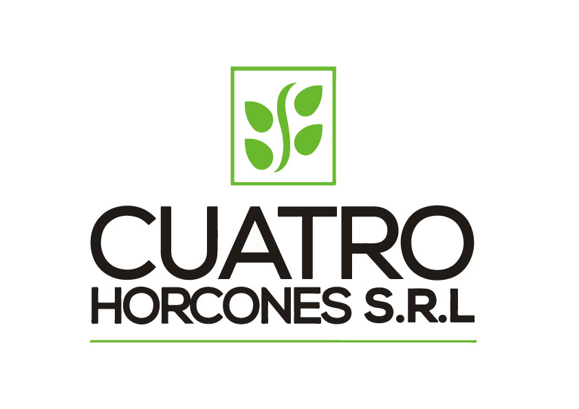 Cuatro Horcones